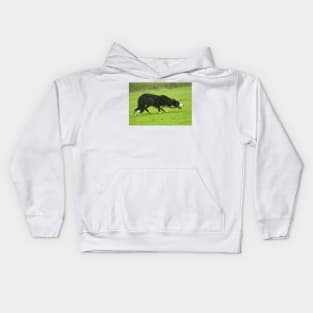 Working Sheepdog Kids Hoodie